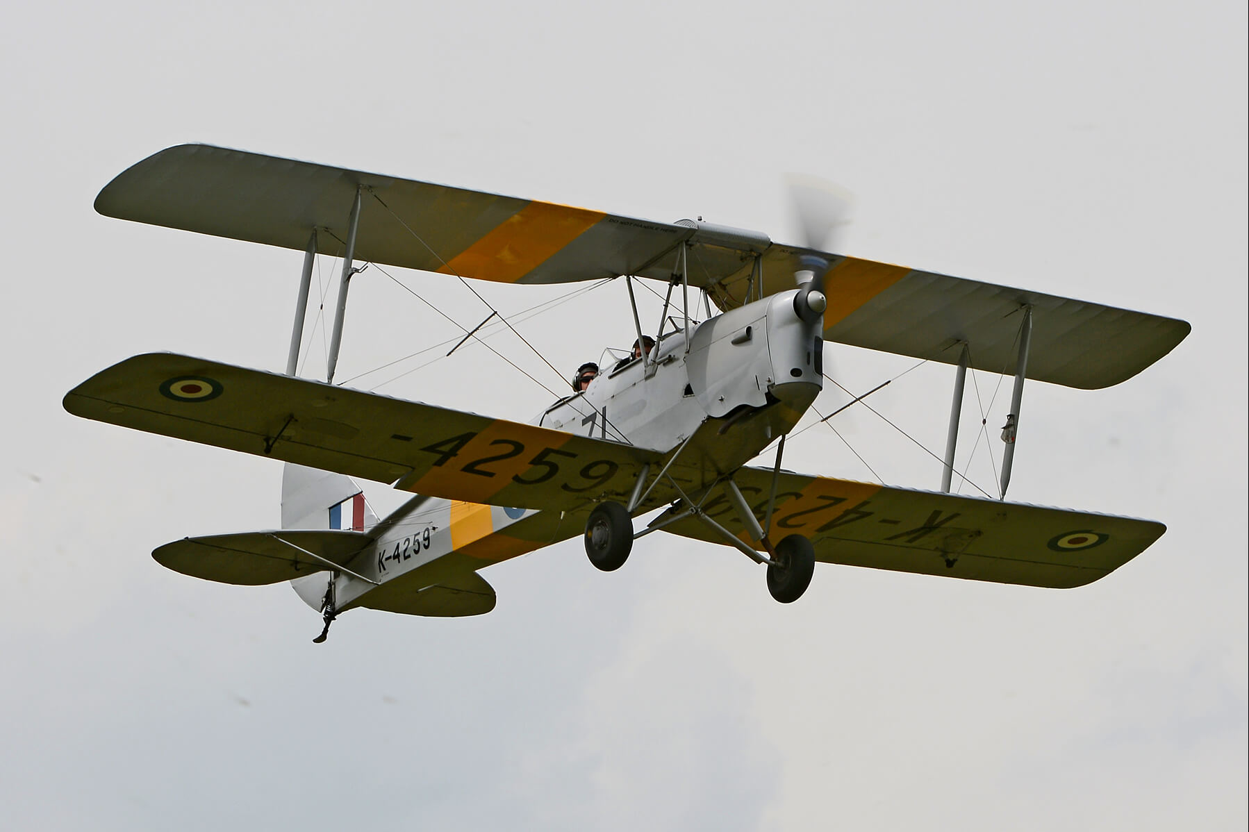 15-Minute Tiger Moth Trial Lesson